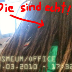 Artikelbild zu ASDF, Dreadlocks und Traktoren