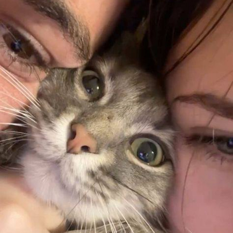 Profilbild von Edgar Gudlamov